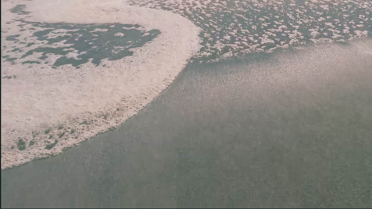 Textured image of sea foam on sand