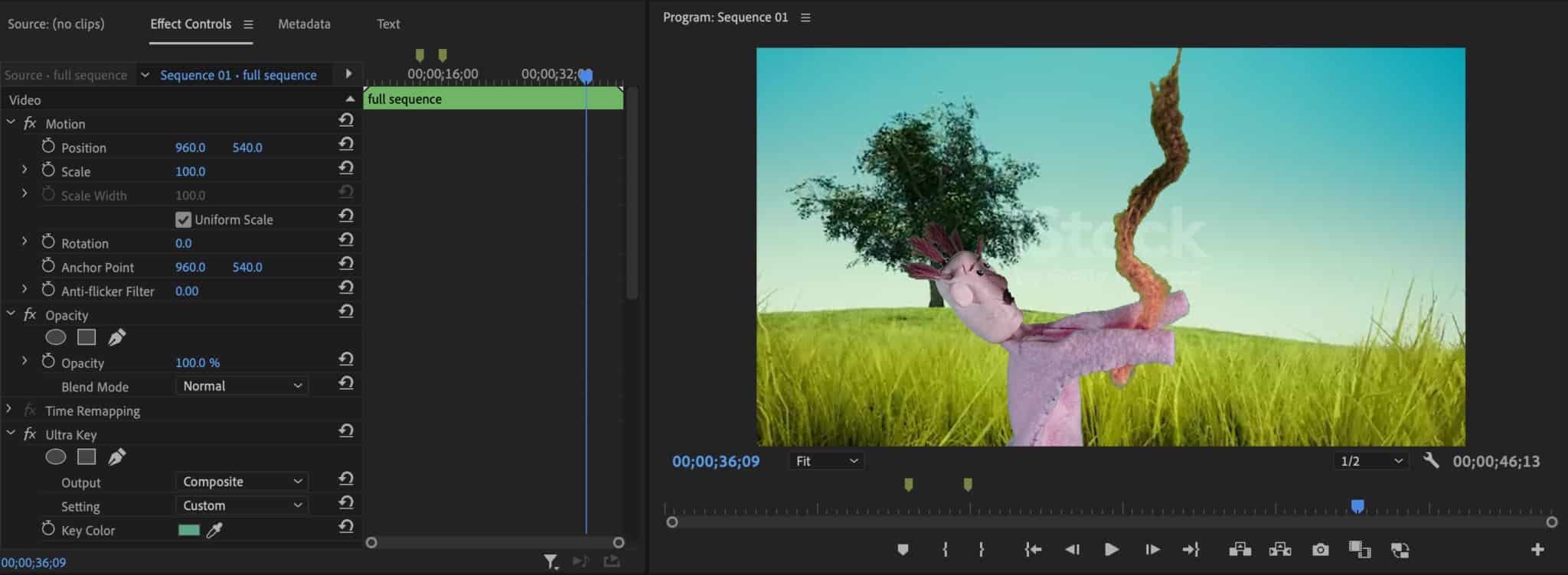Premiere Pro editing software screenshot