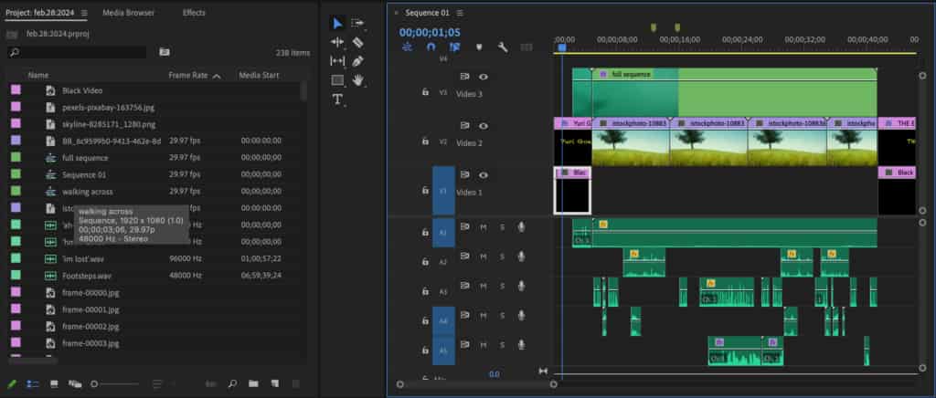 Premiere Pro editing screenshot
